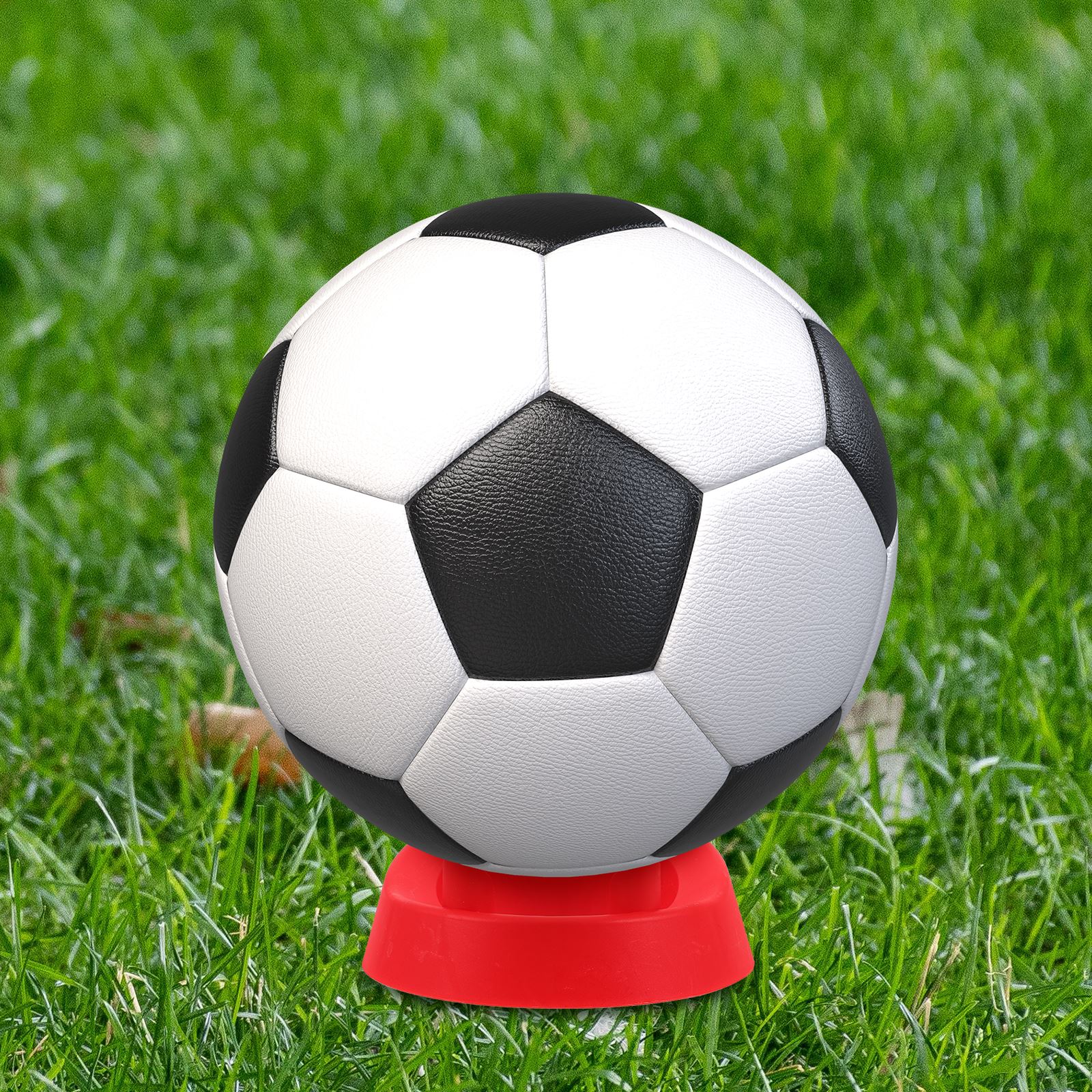 2Pcs Rugby Kicking Tee Plastic - Rugby Training Ball review and price